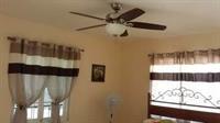 Rays Bed And Breakfast Hostel كينغستون المظهر الخارجي الصورة